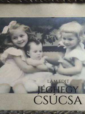 Borító: A jéghegy csúcsa