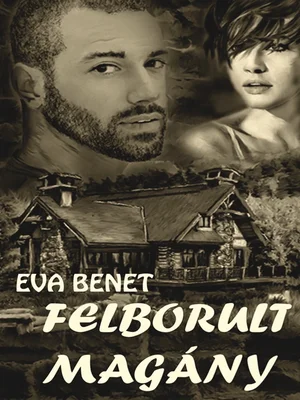 Borító: Felborult magány
