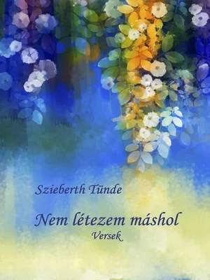 Borító: Nem létezem máshol