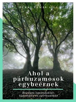 Borító: Ahol a párhuzamosok egybeérnek