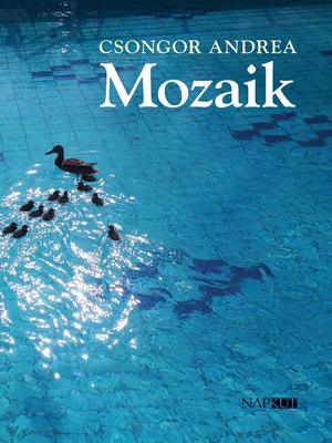 Borító: Mozaik