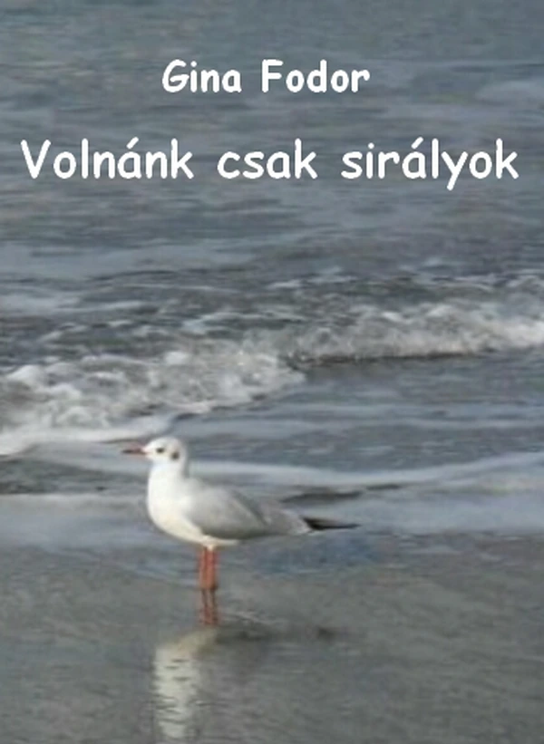 Borító: Volnánk csak sirályok