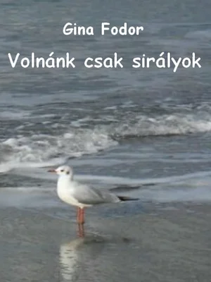 Borító: Volnánk csak sirályok