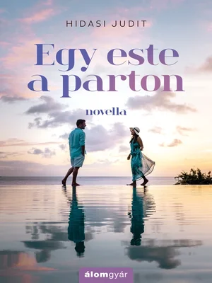Borító: Egy este a parton (novella)