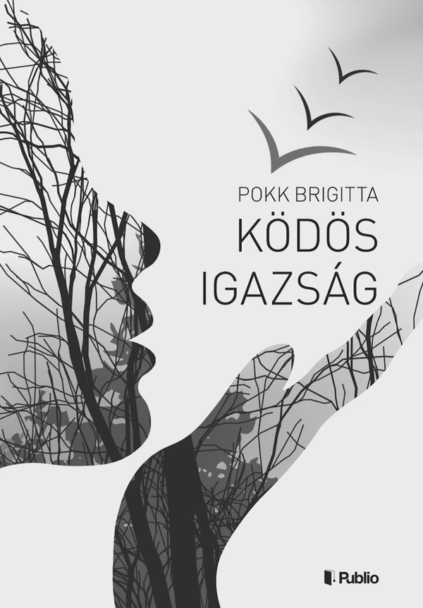 Borító: Ködös igazság