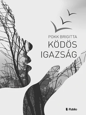 Borító: Ködös igazság