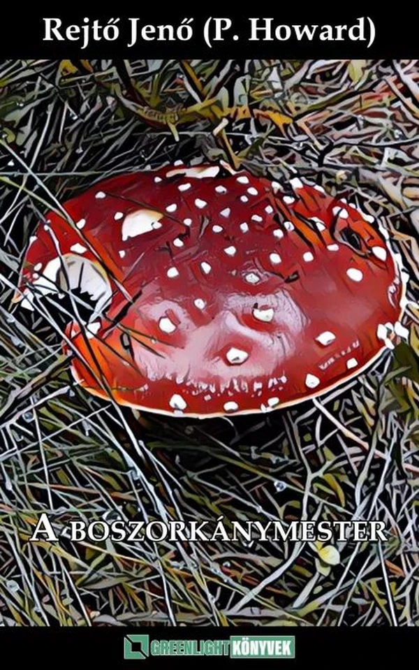 Borító: A boszorkánymester