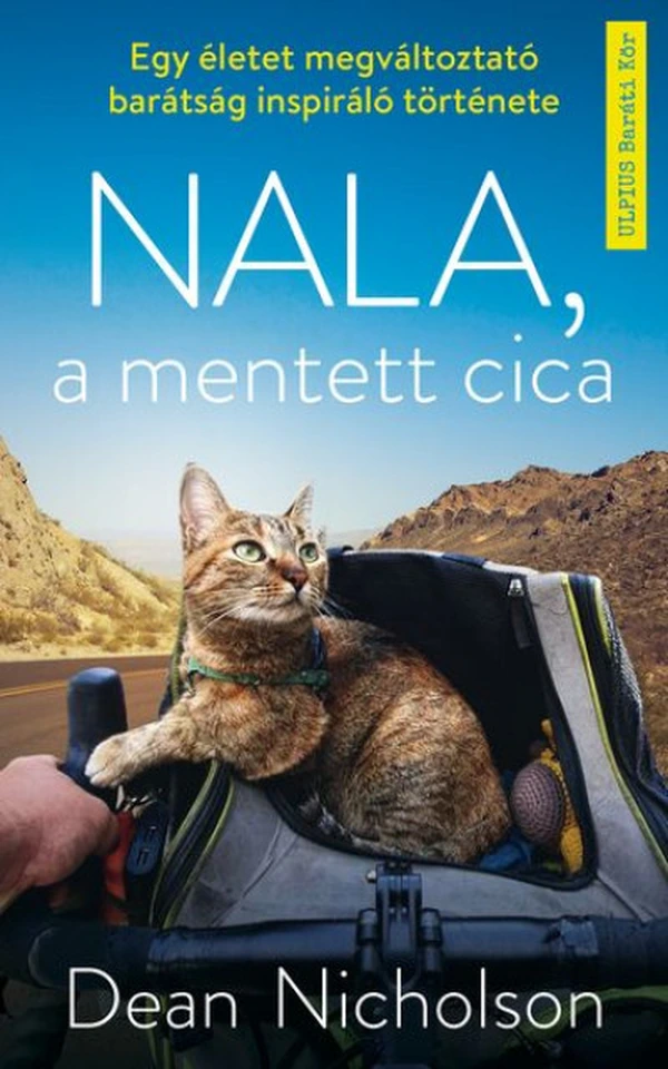Borító: Nala, a mentett cica