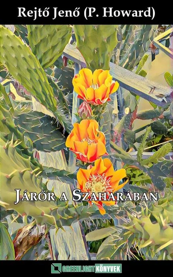 Borító: Járőr a Szaharában