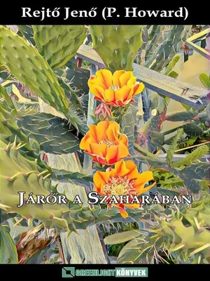 Borító: Járőr a Szaharában