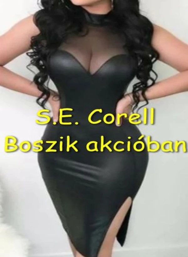 Borító: Boszik akcióban