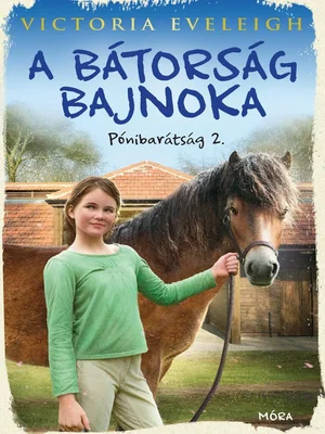 Borító: A bátorság bajnoka