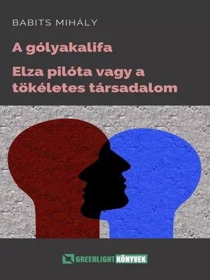 Borító: A gólyakalifa; Elza pilóta