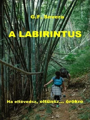 Borító: A labirintus