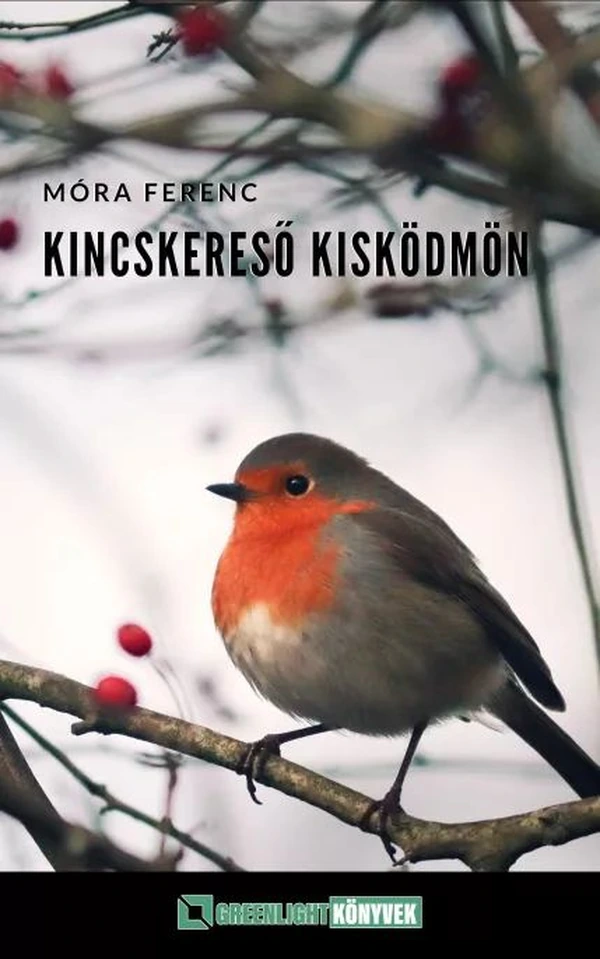 Borító: Kincskereső kisködmön