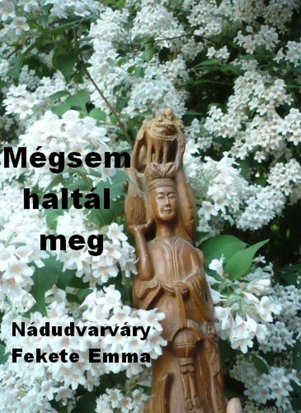 Borító: Mégsem haltál meg
