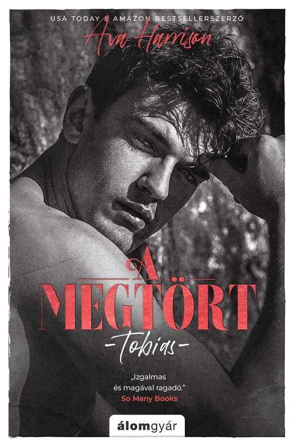 Borító: A megtört