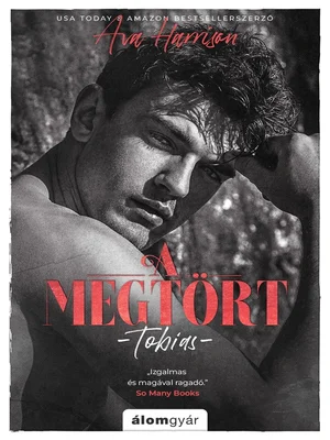 Borító: A megtört
