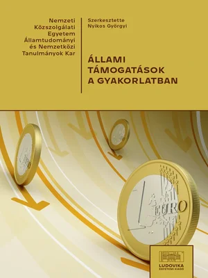 Borító: Állami támogatások a gyakorlatban