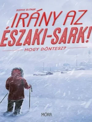 Borító: Irány az Északi-sark