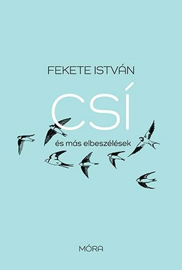 Borító: Csí és más elbeszélések