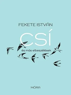 Borító: Csí és más elbeszélések