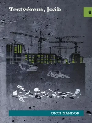 Borító: Testvérem, Joáb