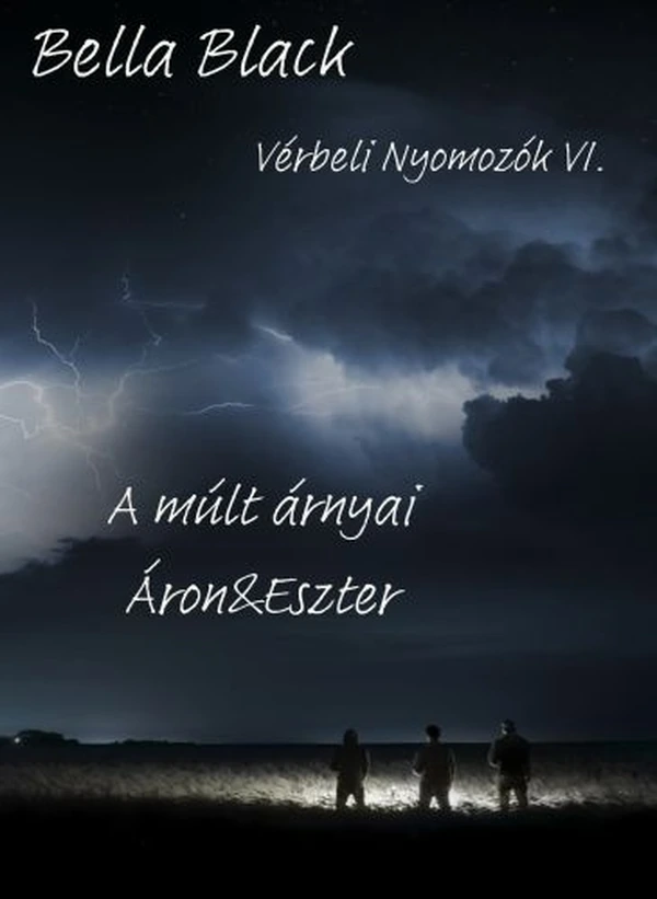 Borító: Vérbeli Nyomozók VI.