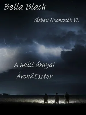 Borító: Vérbeli Nyomozók VI.