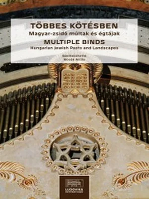 Borító: Többes kötésben. Magyar-zsidó múltak és égtájak