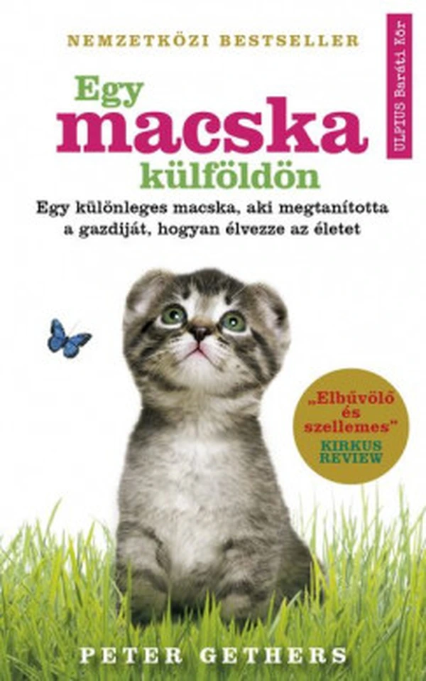 Borító: Egy macska külföldön