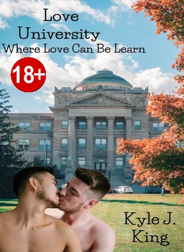 Borító: Love University