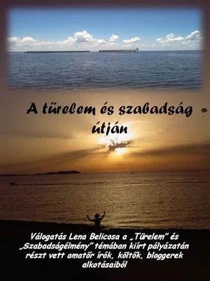 Borító: A türelem és szabadság útján