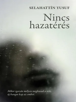 Borító: Nincs hazatérés