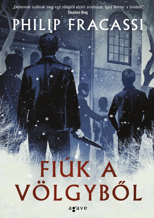 Borító: Fiúk a völgyből