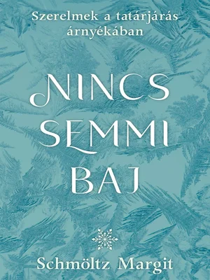 Borító: Nincs semmi baj