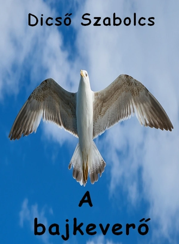 Borító: A bajkeverő