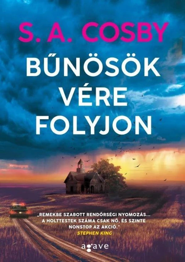Borító: Bűnösök vére folyjon