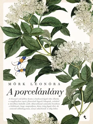 Borító: A porcelánlány