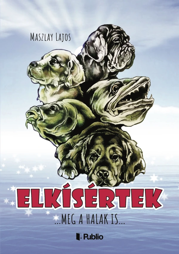 Borító: Elkísértek
