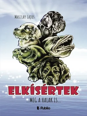 Borító: Elkísértek
