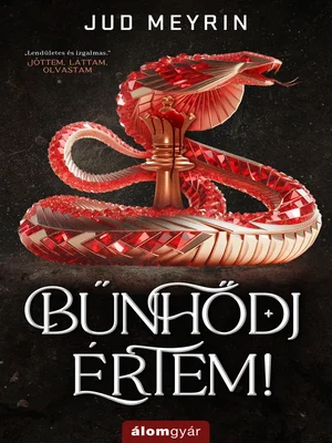 Borító: Bűnhődj értem