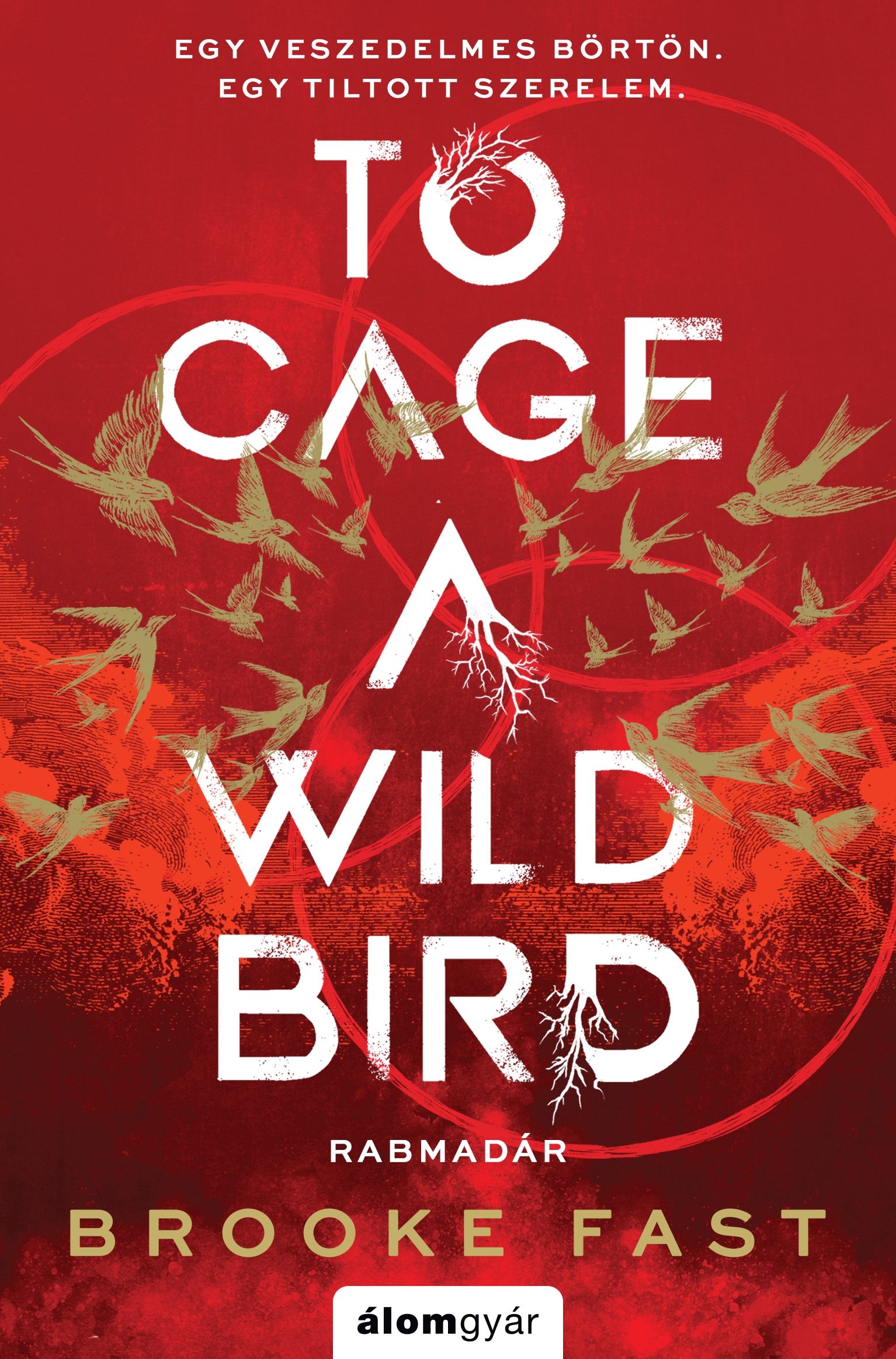 Borító: To Cage a wild bird - Rabmadár