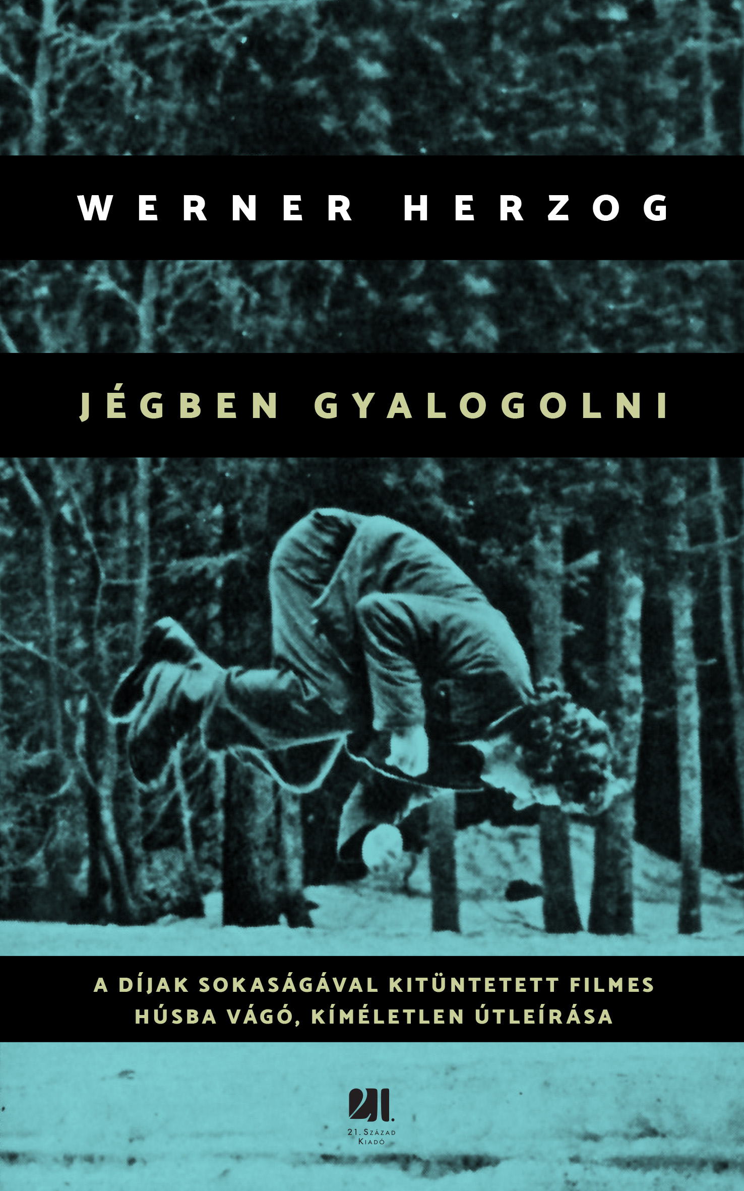 Borító: Jégben gyalogolni
