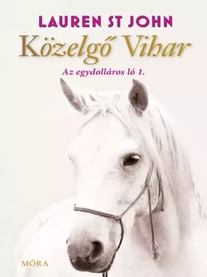 Borító: Közelgő vihar