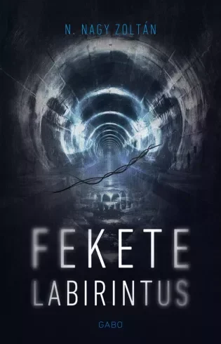 Borító: Fekete labirintus