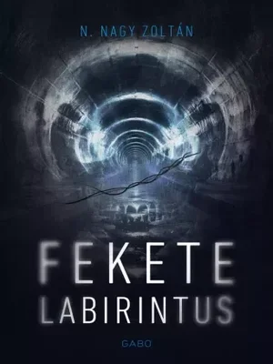 Borító: Fekete labirintus