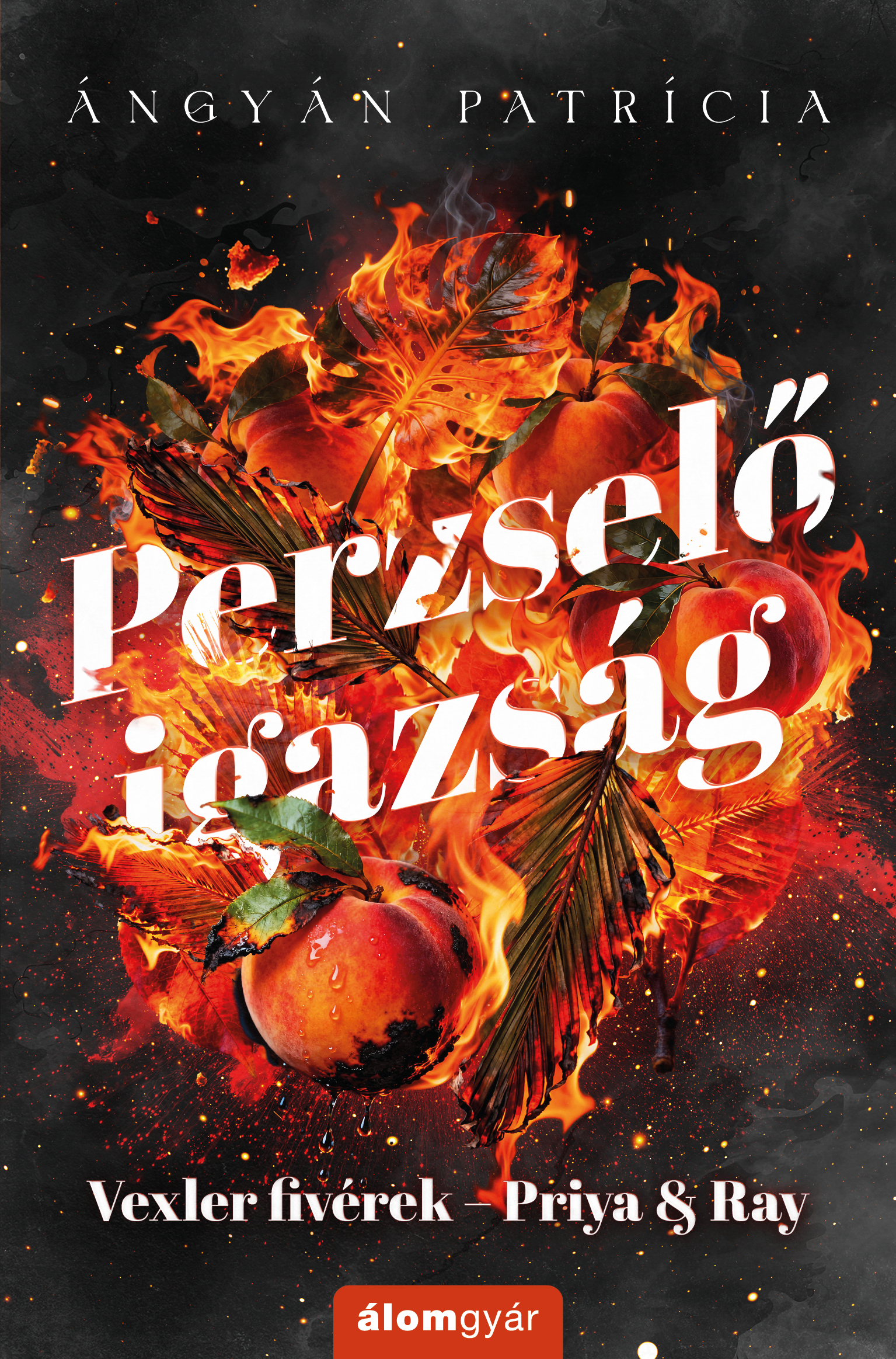 Borító: Perzselő igazság