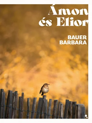Borító: Ámon és Elior