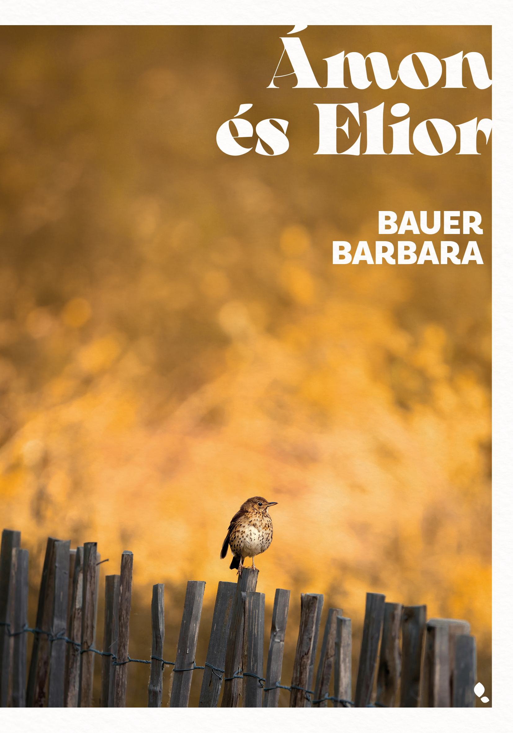 Borító: Ámon és Elior